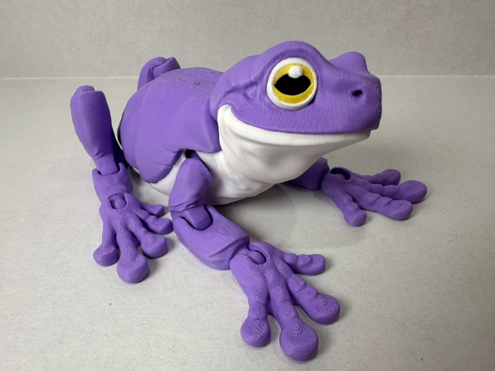 Purple with Magnets