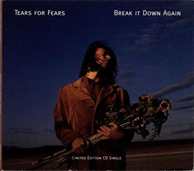 Break It Down Again - Tears For Fears CD 2JVG The Cheap Fast Free Post