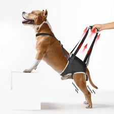 XUVIRA Dog Lift Harness for Large Dogs Hind Leg Support Sling For Mobility, XL