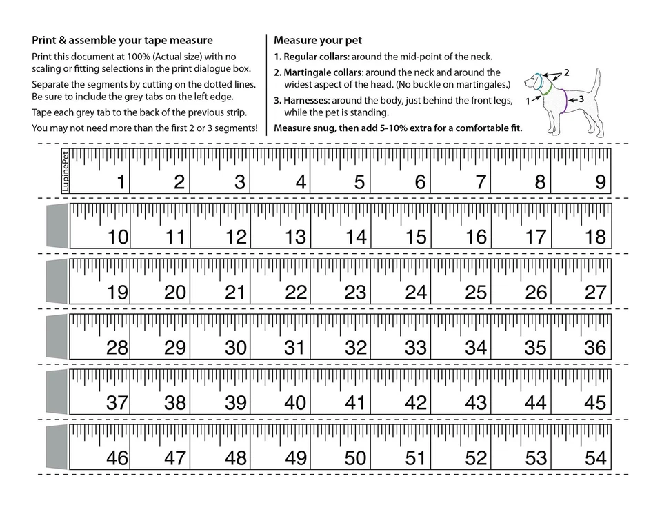 Originals 1" Flower Power 24-38" Step In Harness for Large Dogs - Image 3 of 4