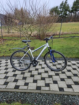 Mountainbike gut  erhalten 