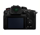Foto 7 di 24