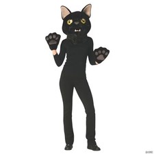 Adults Black Cat Mask  Paws Costume Kit - One Size