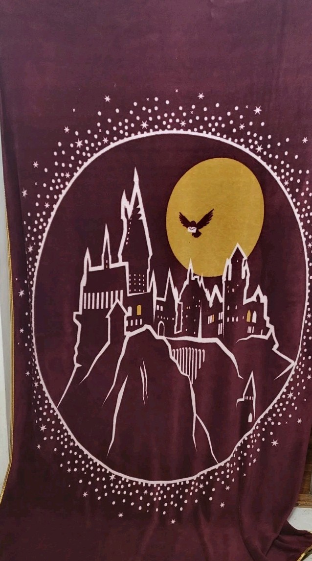 Harry Potter Hogwarts Burgundy Gold Metallic Trim Throw Blanket 62