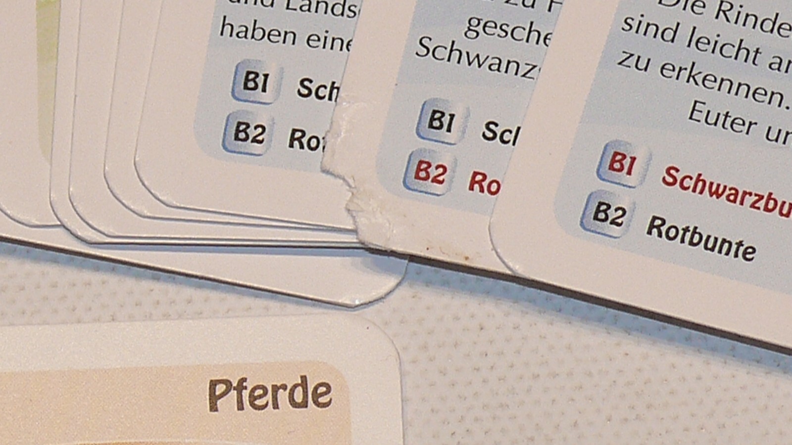 Bild 79 von 89