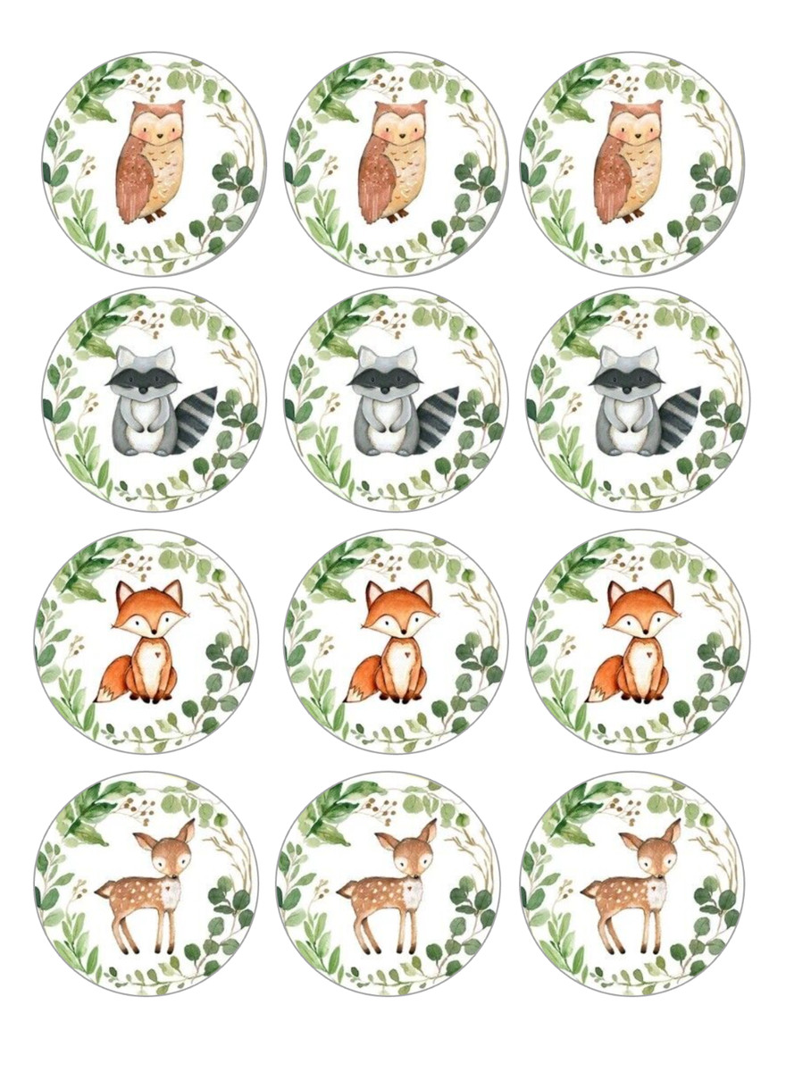 12 cute woodland animals, baby shower edible paper, cupcake cookie toppers  | eBay