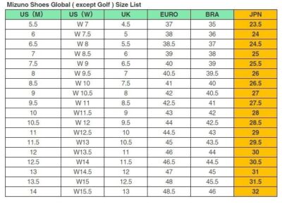 MIZUNO MONARCIDA III SW (Black/White)P1GA242401 Soccer Cleats [4E