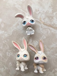 littlest pet shop bunny