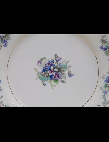 2 NORITAKE JAPAN VIOLETTE 3054 DINNER PLATES 10”D - Picture 3 of 5