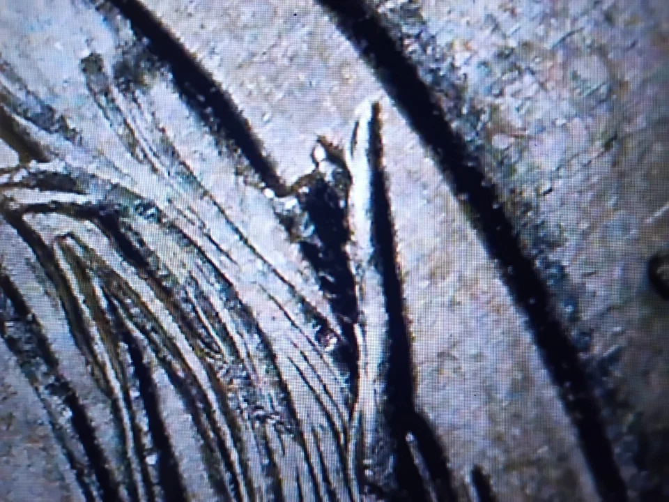 2015 Wash. Homestead Quart. Heavy Rev Die Breaks On Top Of Bldg + More. C Pics. - Image 3 of 4