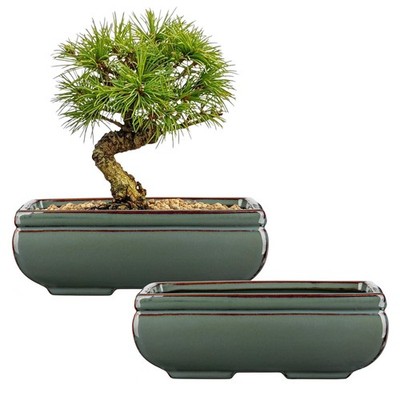 Set of 2 Green Glazed Ceramic Bonsai Pots with Drainage for Indoor/Outdoor Use