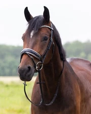 QHP Lupine Patent Leather Dressage Bridle - Black/Gun Metal or Dark Brown/Beige