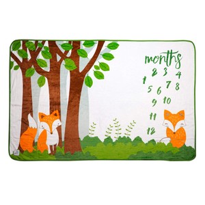 Circle Months Baby Milestone Blanket™ – batzkids