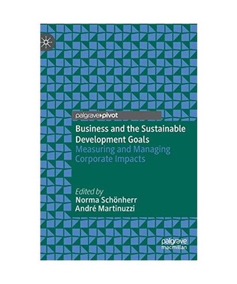 Business and the Sustainable Development Goals: Measuring and Managing Corporate