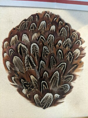 Natural Almond Pheasant Feather Pad - Deadstock