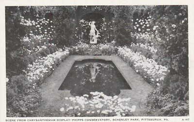 Pittsburgh PA-Pennsylvania, Phipps Conservatory, Chrysanthemums Vintage Postcard