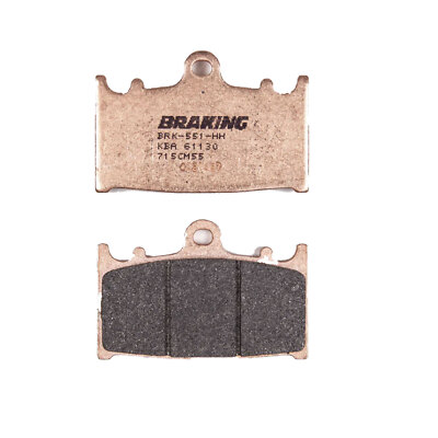 BREMSBELÄGE VORNE BRAKING FÜR SUZUKI GSX RR 250 1989 