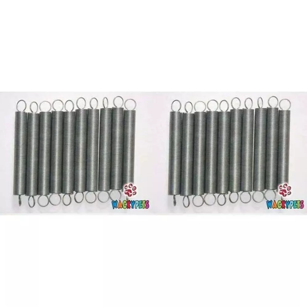 Rabbit water store bottle springs
