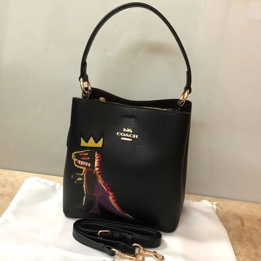 COACH Bag C6073 Basquiat Collaboration 2WAY Dinosaur Print Handbag