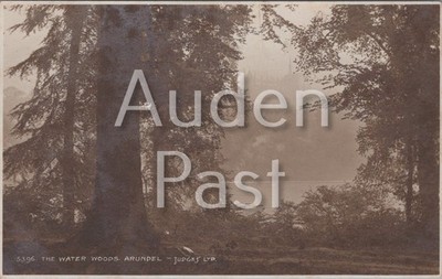 The Water Woods Arundel Sussex Richter Postkarte