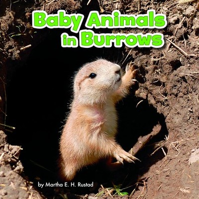 Baby Animals in Burrows (Baby Animals and Their Homes),Rustad, M