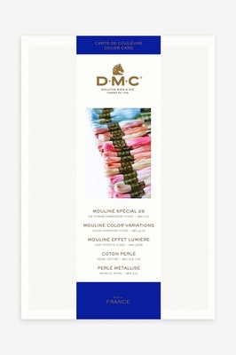 DMC Threaded Color Card - W100B 489 colors, multicolored