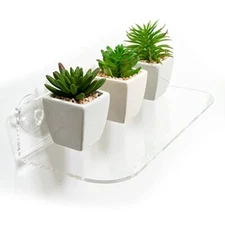 Jamborum Window Garden Double Ledge Acrylic with Suction Cups 