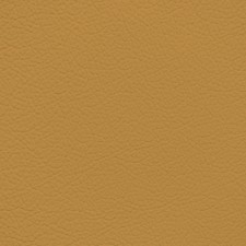 Porsche Savanna Beige Leather Dye Porsche Savanna Beige Leather Dye