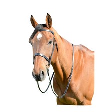 Kincade - Bridon de chasse plat avec rênes pour chevaux CLASSIC (WB2172)