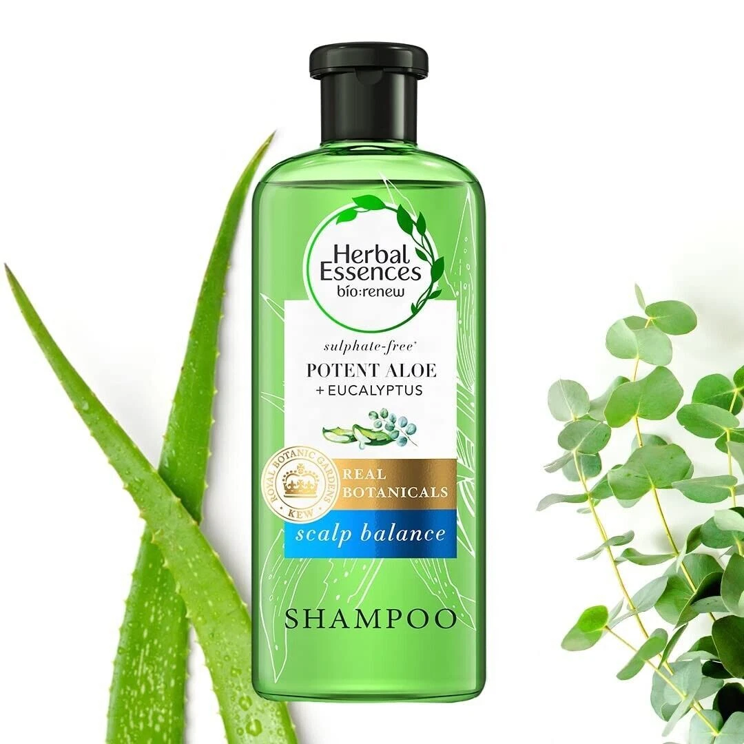 Eucalyptus shampoo 2024