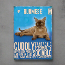 Burmese Cat Cute Novelty Fun Fridge Magnet for Cat Lovers & Refridgerators