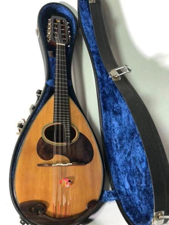 Suzuki M 30 Mandolin strings violin acoustic wooden vintage
