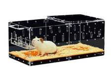 Gabbia Trasparente per Criceti e Porcellini d'India in Acrilico 61x30x24 cm