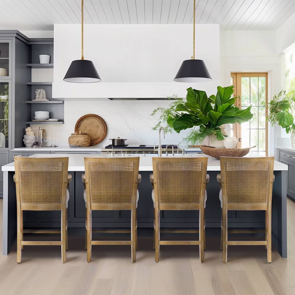 Madison Park Paulie Cane Back Counter Height Barstool Cream/Reclaimed Natural