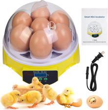 7-Egg Incubator 360  View Poultry Incubator with Manual Temperature Control