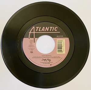 Sugar Ray Vinyl | eBay