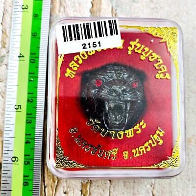 Magic Tiger Hair Face Protection Fortune Pern Watbangpha Be2554 Thai Amulet 2151