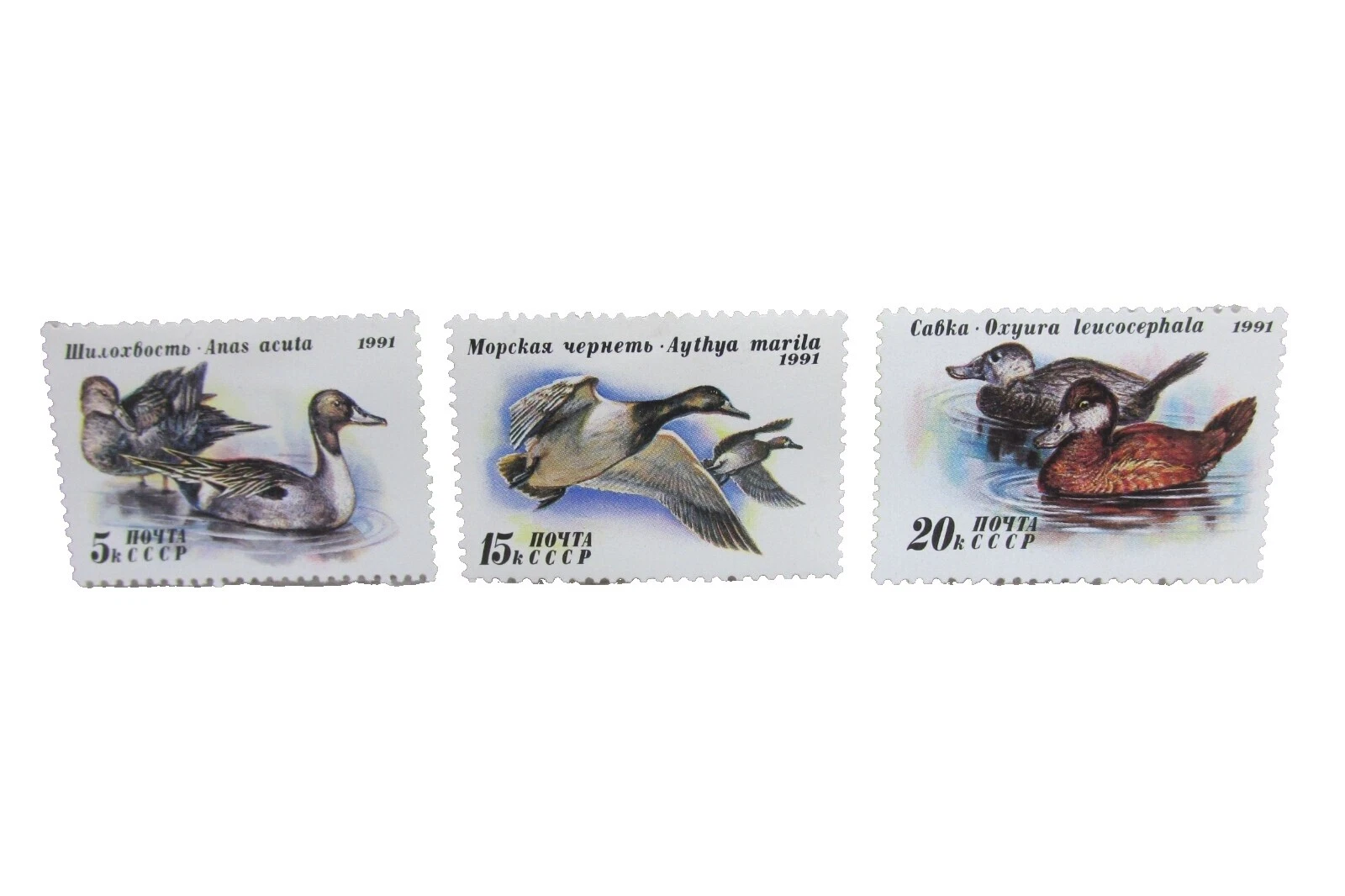 Mint Hinged Ducks Russian & Soviet Union Stamps