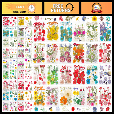428 Pcs Dried Pressed Flowers & Leaves for Resin Crafts, DIY Art, Scrapbooking