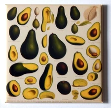 Avocado FRIDGE MAGNET "style B"