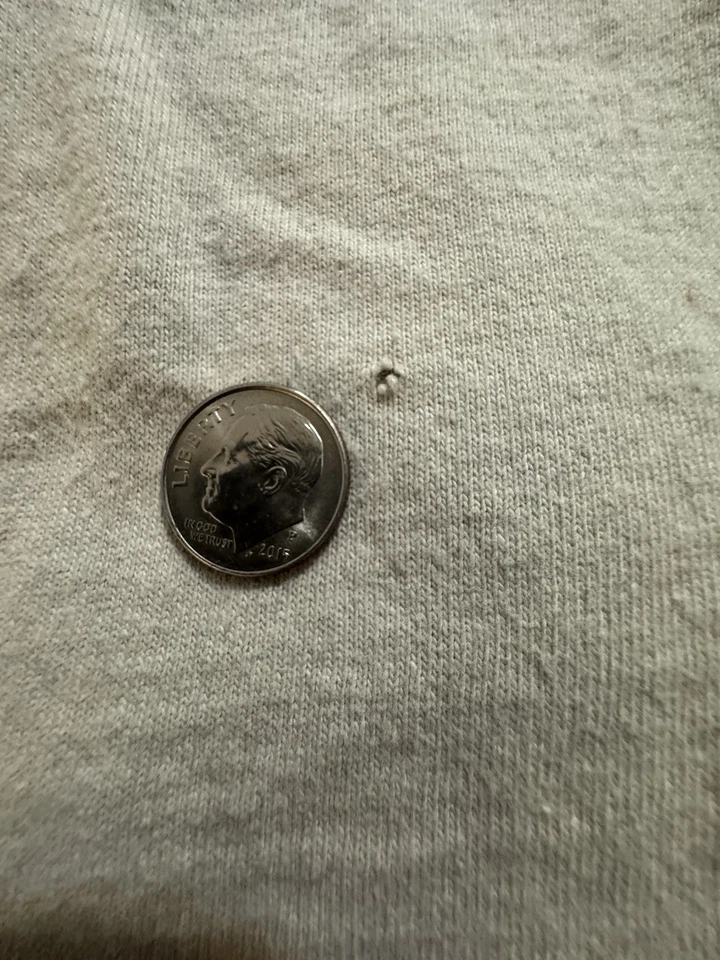 Vintage Lion Nature T Shirt Single Stitch Fruit Of The Loom Made In USA Size XL - Image 4 of 4