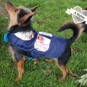 union jack dog coat
