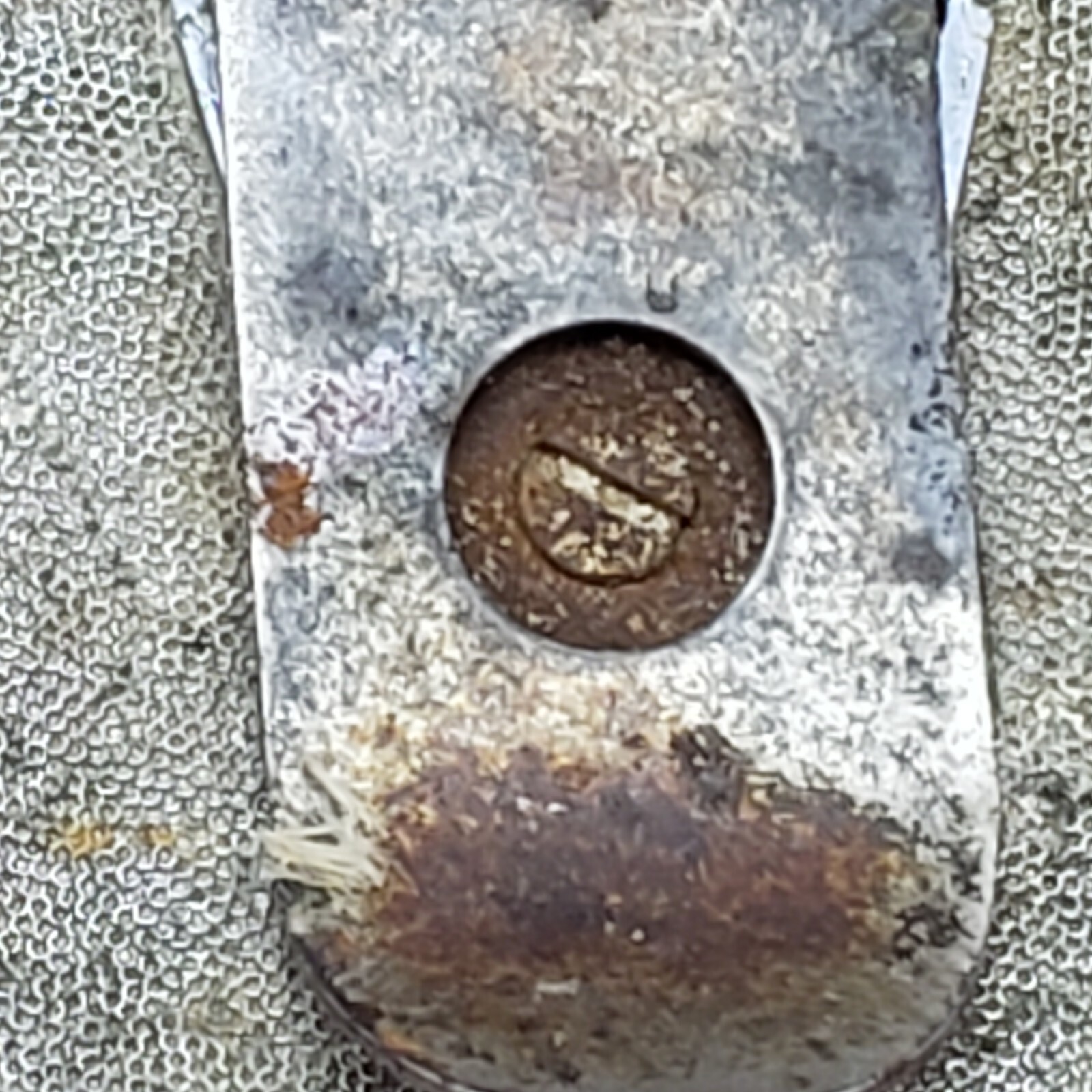 Picture 3 of 8