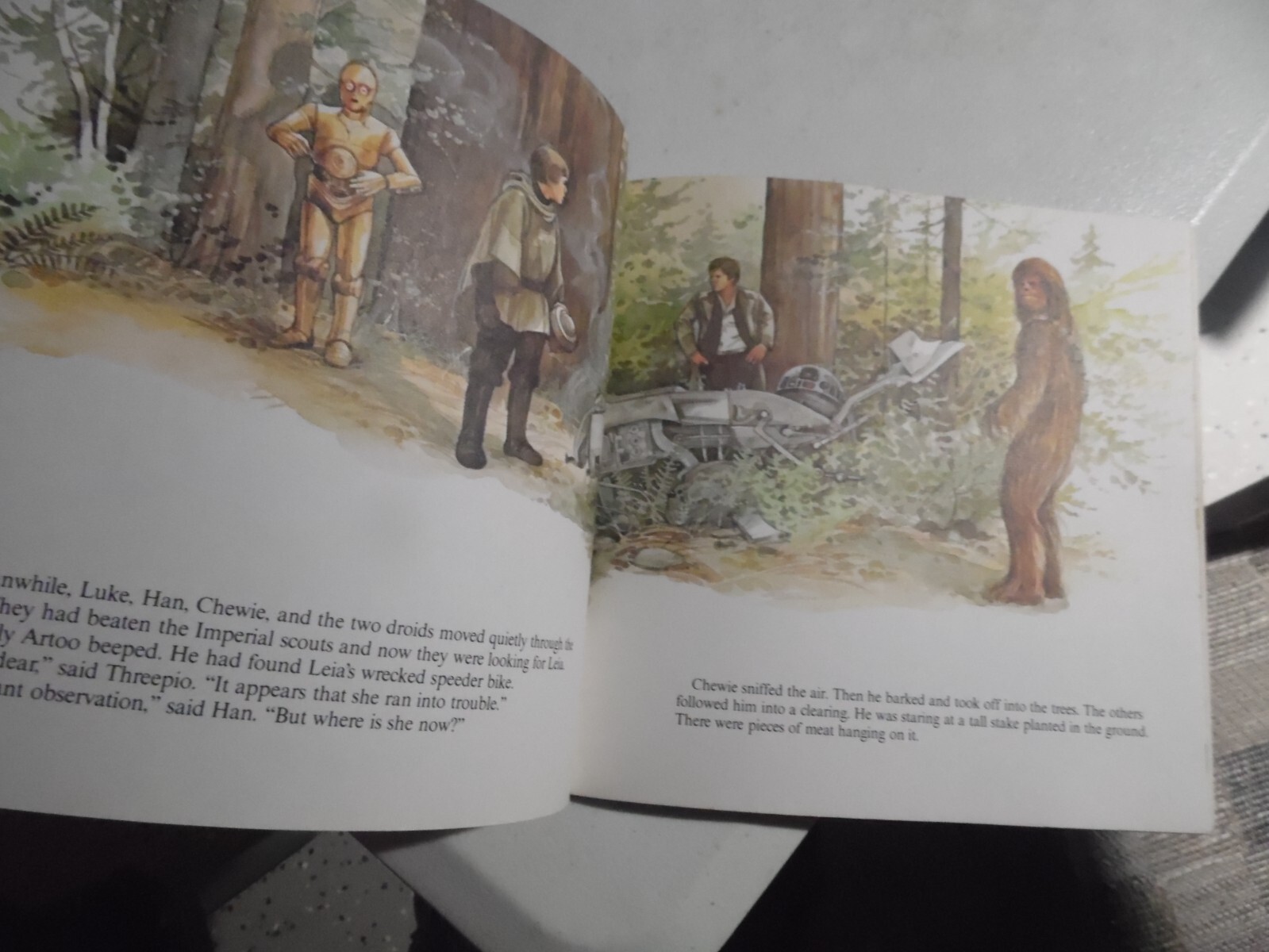 Picture 7 of 8