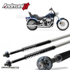 HARLEY-DAVIDSON Softail Custom / FXSTC 1987-1999 Patrone ANDREANI 110/HD9 MISANO