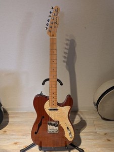 Fender Thinline Telecaster Mexico for sale | eBay