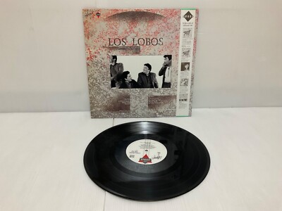 Los Lobos – 