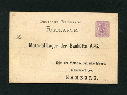 Dt. Rich - Ga Print "Building Hut" 1883 (#2619)