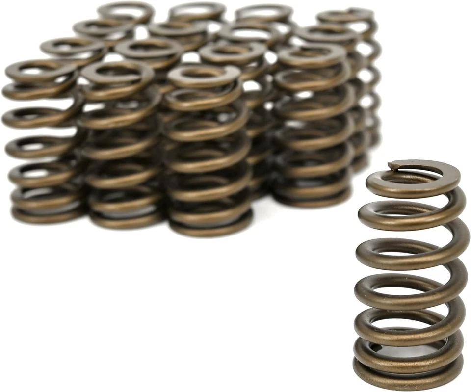 Árbol de levas ELGIN E1838P etapa 1 descuidado + resortes Chevy LS 5.3 6.0.560" HECHO EN EE. UU. Foto 3 de 4