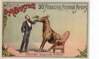 D M Bristol’s Eques curriculum Trade Card Denver Drinking Mule